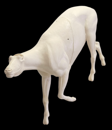 Mountain Goat – Lifesize – Stepping downhill, Left Turn – MG310